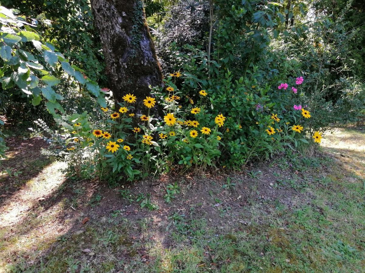 Cabañas Los Canelos Pucon, Hermosa Granja de 20 hectaréas a orillas del Río Liucura Extérieur photo