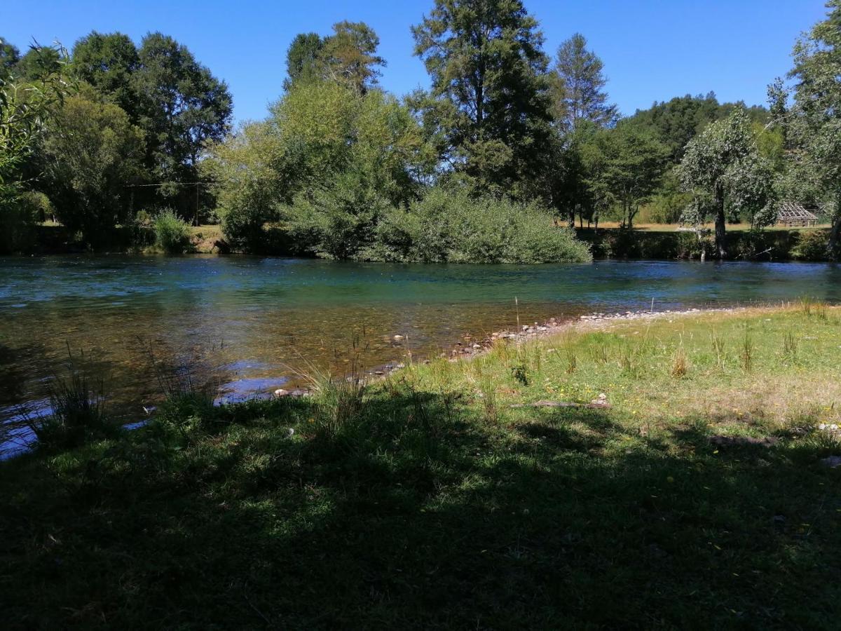 Cabañas Los Canelos Pucon, Hermosa Granja de 20 hectaréas a orillas del Río Liucura Extérieur photo