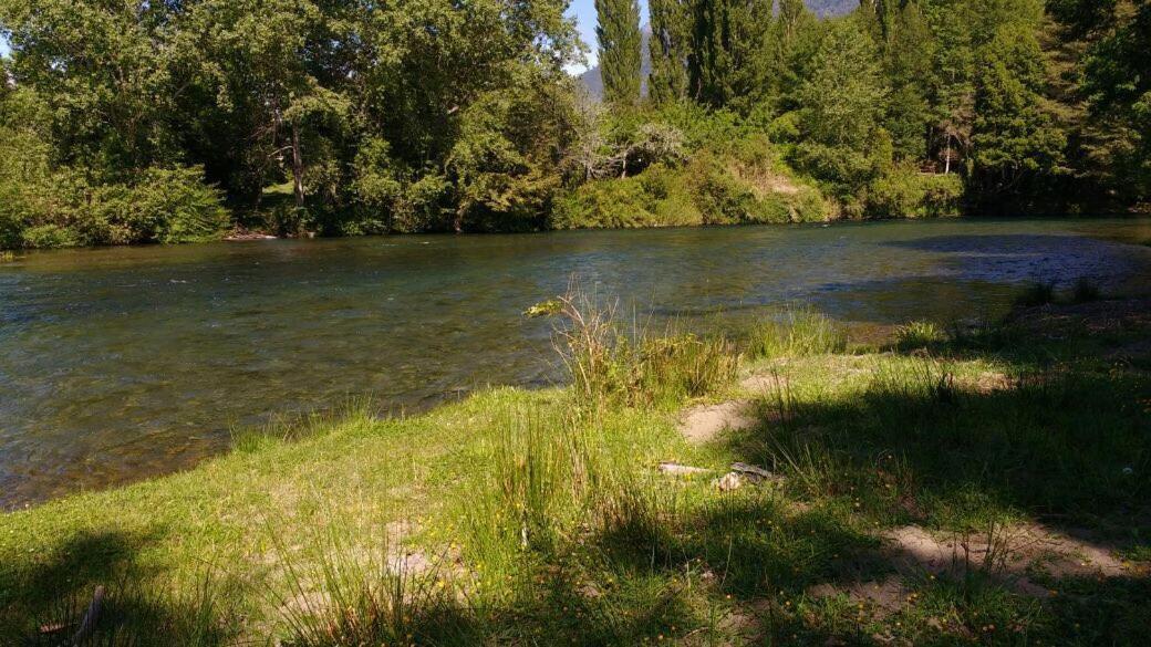 Cabañas Los Canelos Pucon, Hermosa Granja de 20 hectaréas a orillas del Río Liucura Extérieur photo