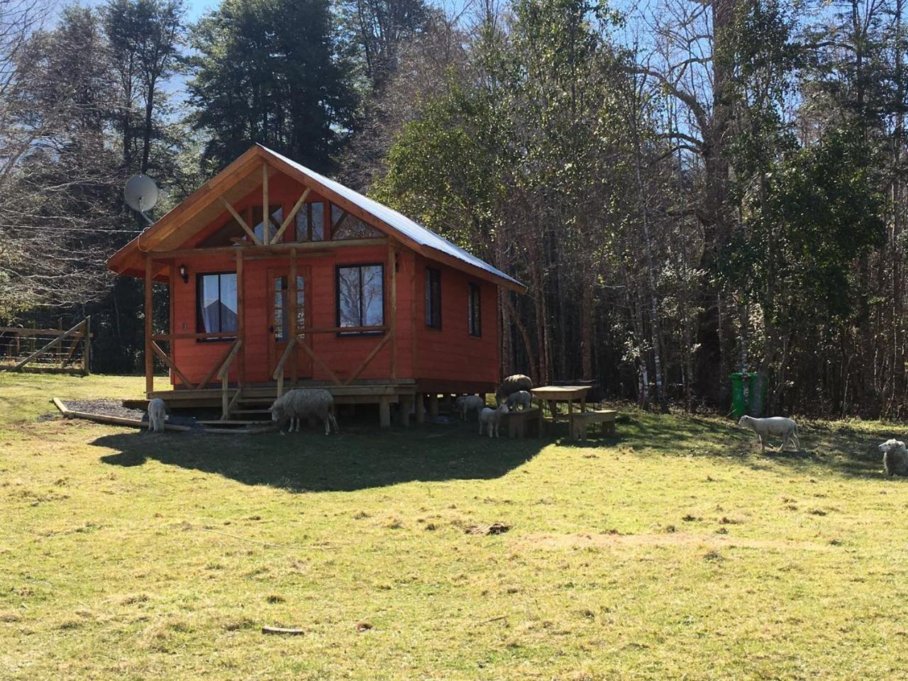 Cabañas Los Canelos Pucon, Hermosa Granja de 20 hectaréas a orillas del Río Liucura Extérieur photo